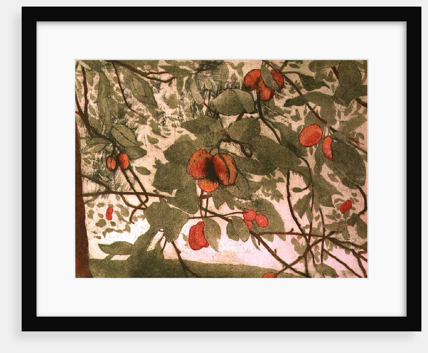 Plums by Valerie Daniel