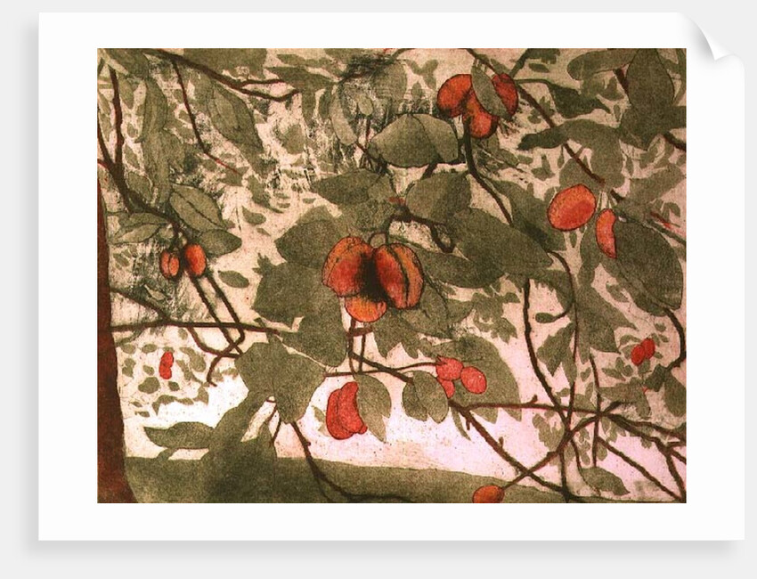 Plums by Valerie Daniel