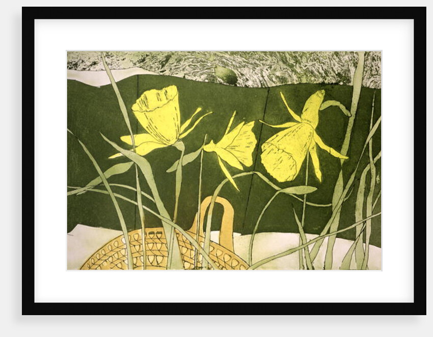 Daffodils by Valerie Daniel
