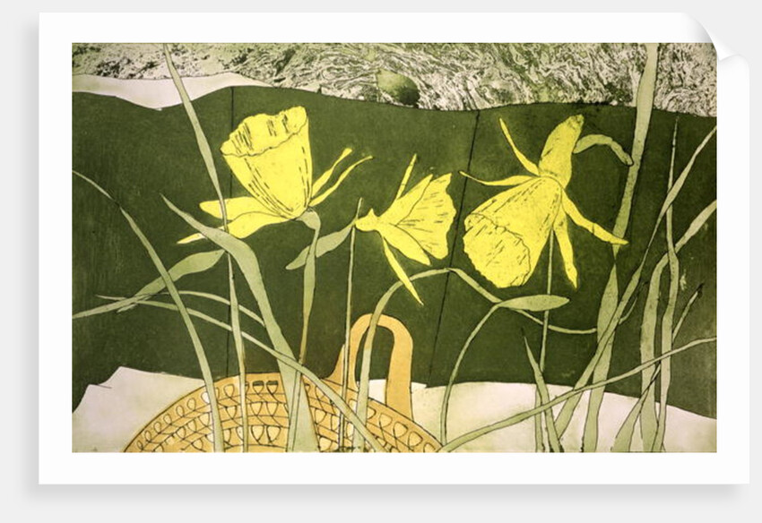 Daffodils by Valerie Daniel