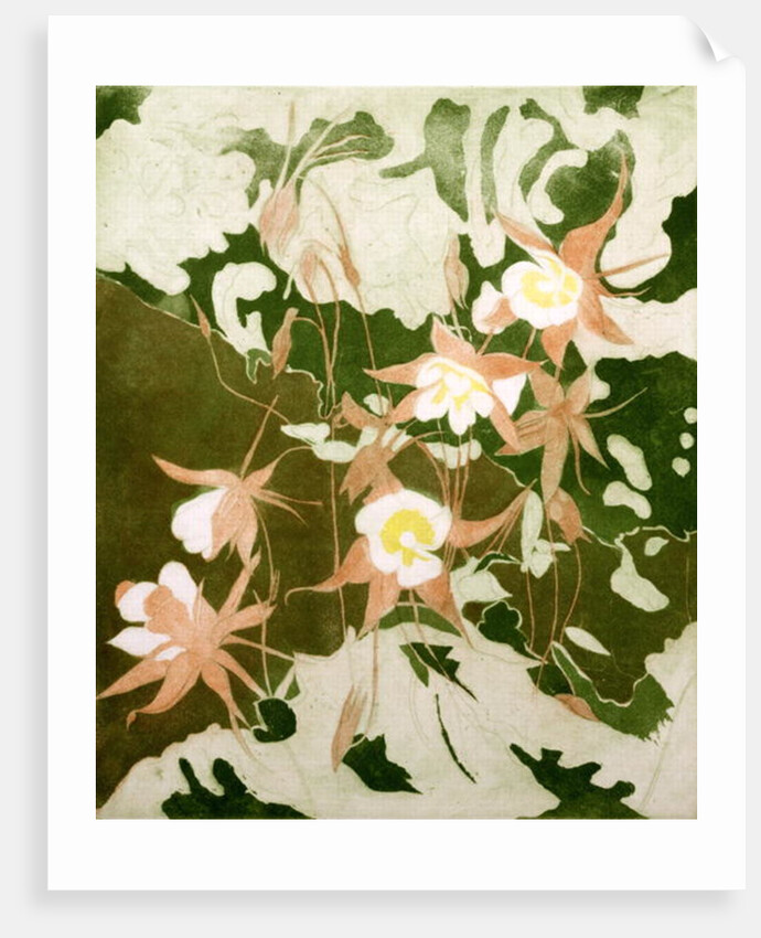 Columbines by Valerie Daniel