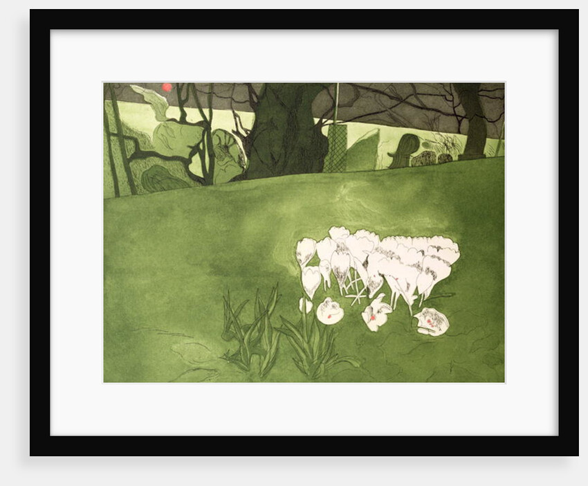 Crocus by Valerie Daniel