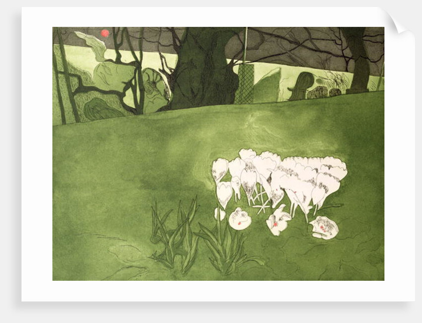 Crocus by Valerie Daniel