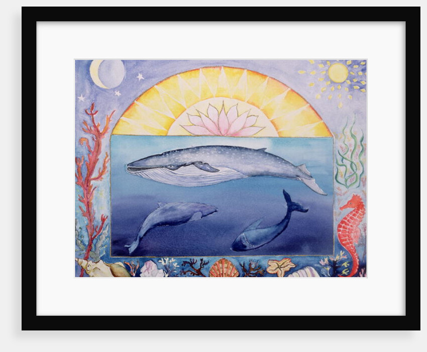Whales by Vivika Alexander