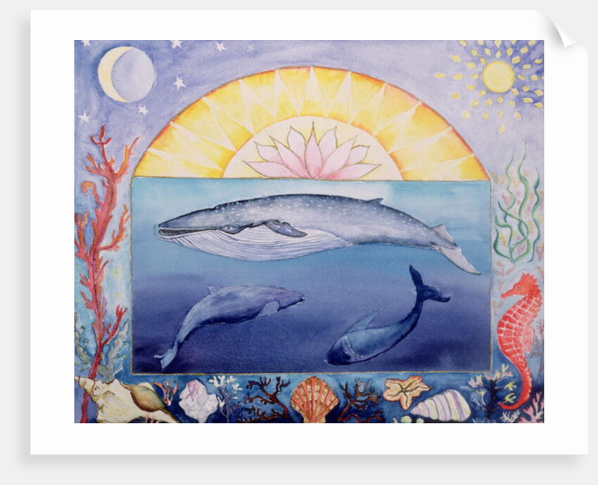 Whales by Vivika Alexander