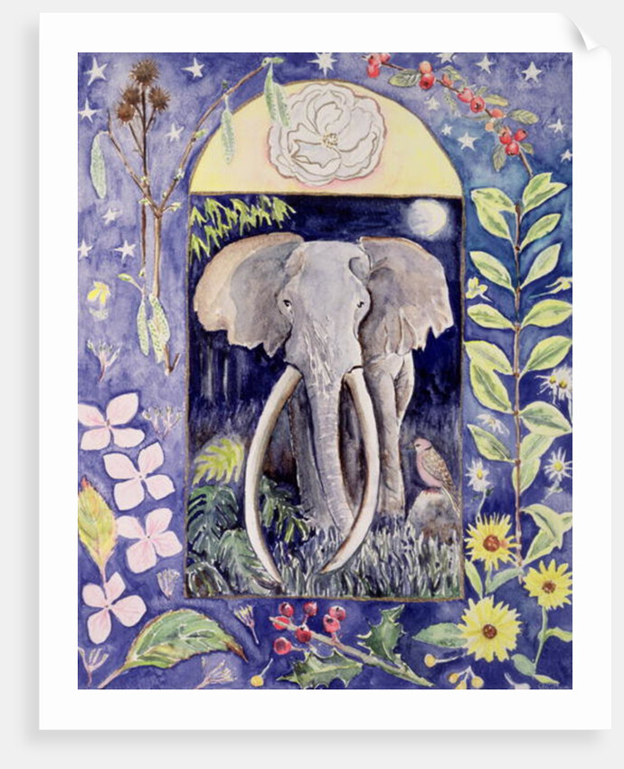 Ahmed by Vivika Alexander