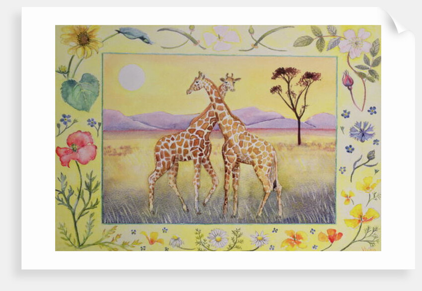 Giraffe by Vivika Alexander