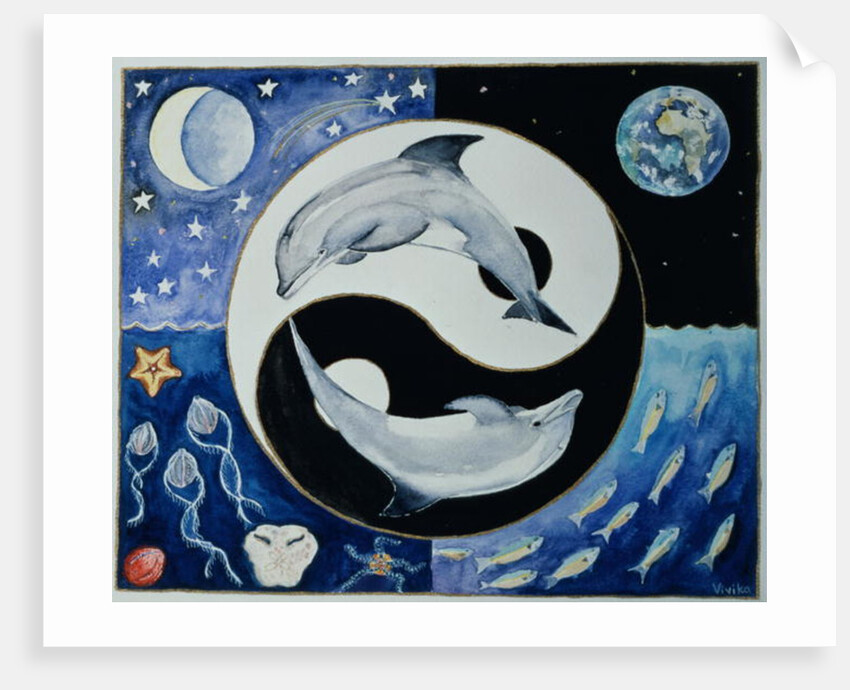 Dolphins by Vivika Alexander