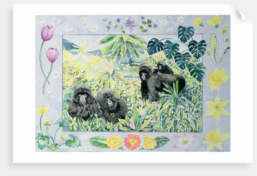 Mountain Gorillas by Vivika Alexander