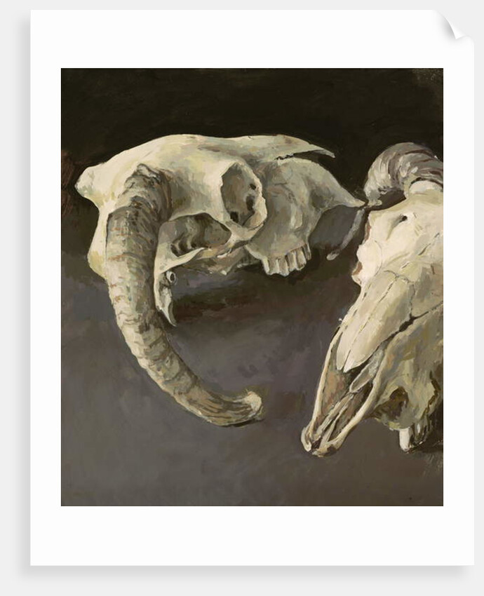 Sheep Skulls, 2001 by Vincent Yorke