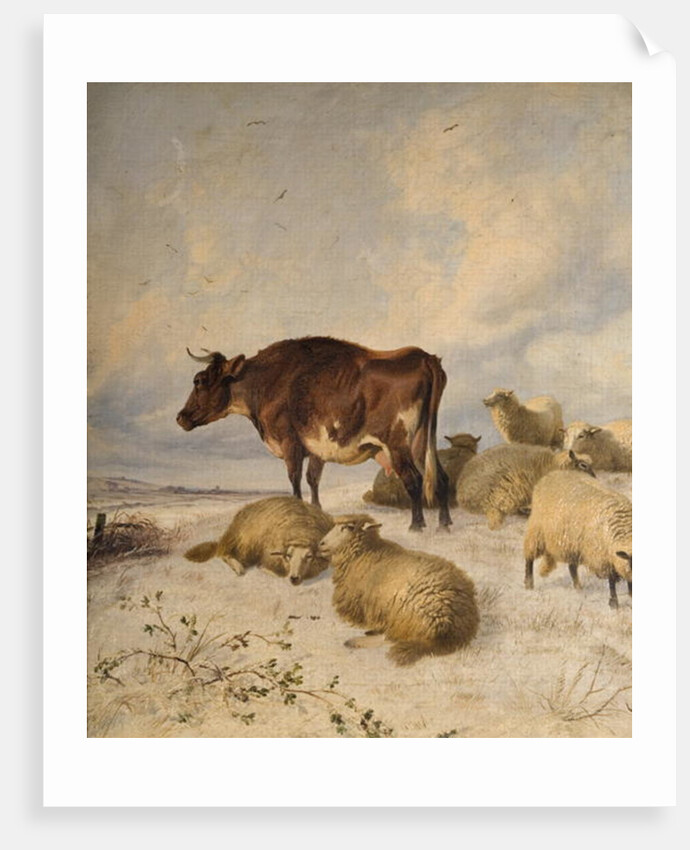 Cows and Sheep in Snowscape, 1864 by Thomas Sidney Cooper
