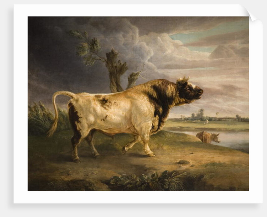 A Prize Bull by Edmund Bristow