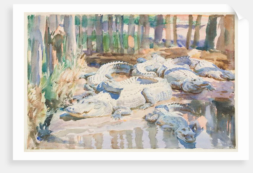 Muddy Alligators, 1917 by John Singer Sargent