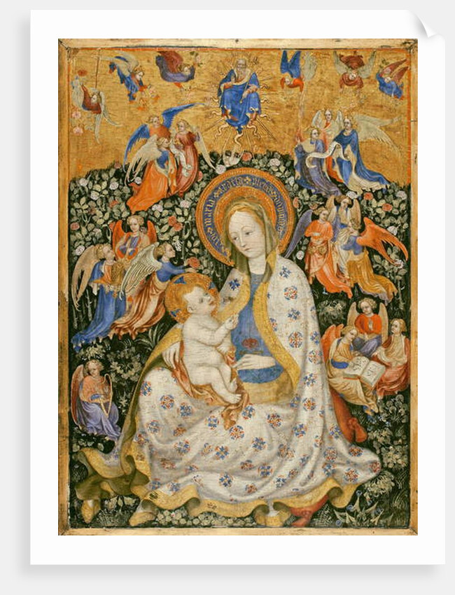 The Virgin and Child with Angels, c.1430 by Stefano da (attr.to) Verona