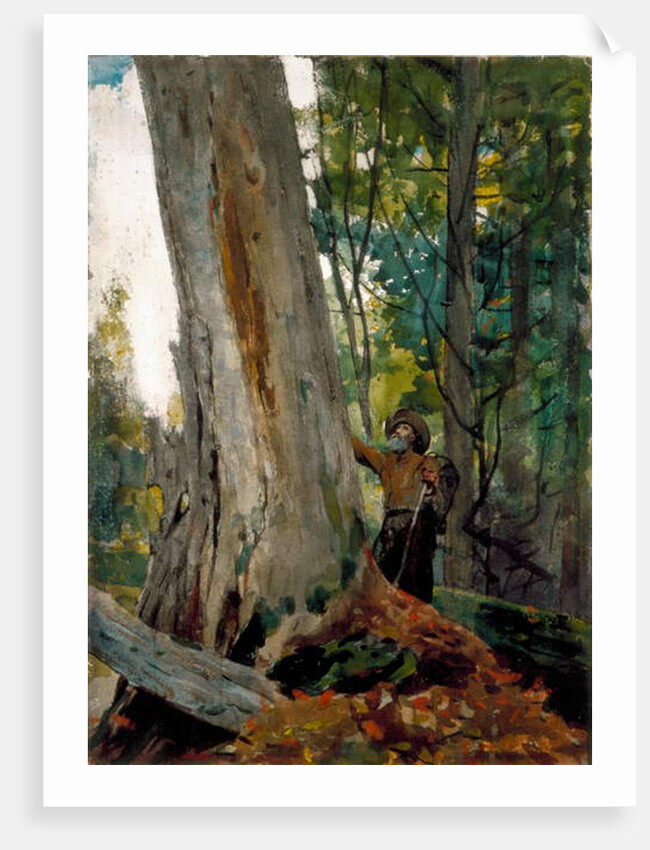 Old Friends, 1894 by Winslow Homer