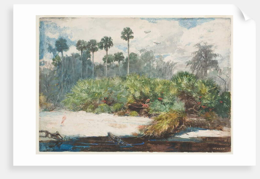 In a Florida Jungle by Winslow Homer
