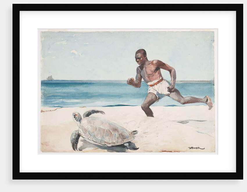 Rum Cay by Winslow Homer