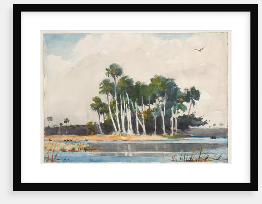 The Turkey Buzzard by Winslow Homer