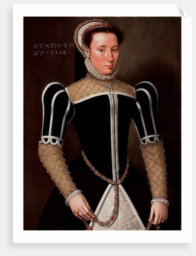 Portrait of a Woman, 1556 by Flemish School