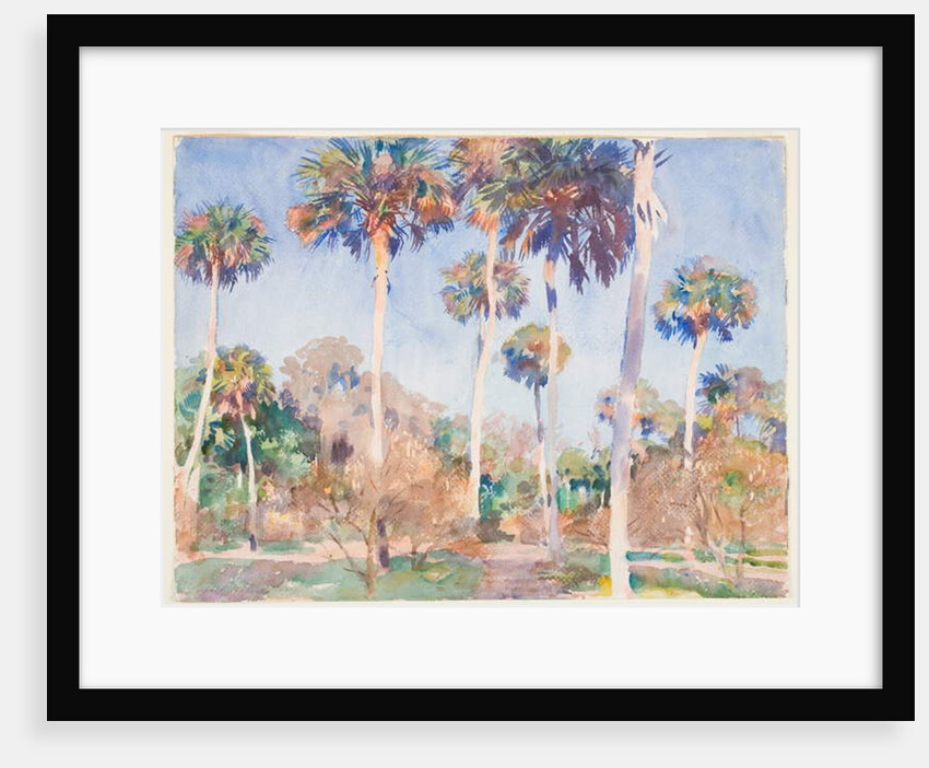 Palms, 1917 by John Singer Sargent