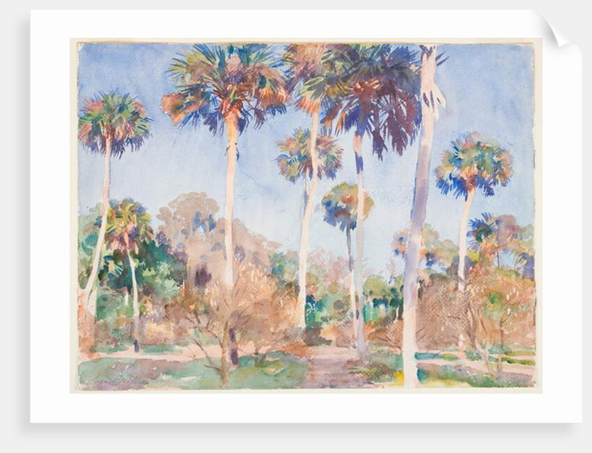Palms, 1917 by John Singer Sargent