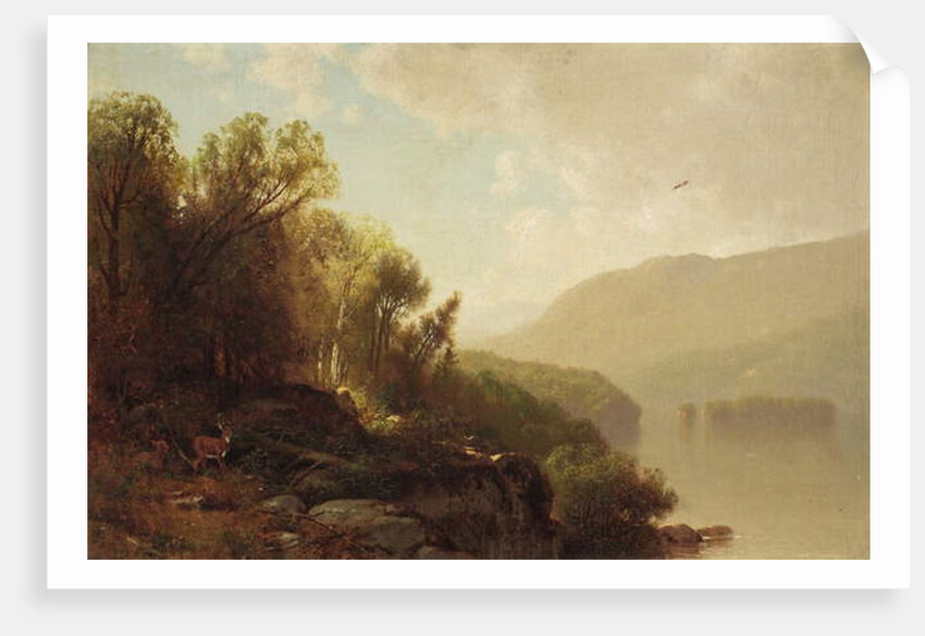 In the Adirondacks, 1870 by William Hart