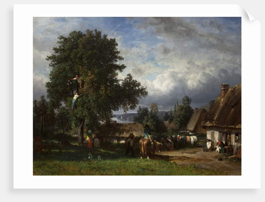 Apple Harvest in Normandy, 1835-65 by Constant-Emile Troyon