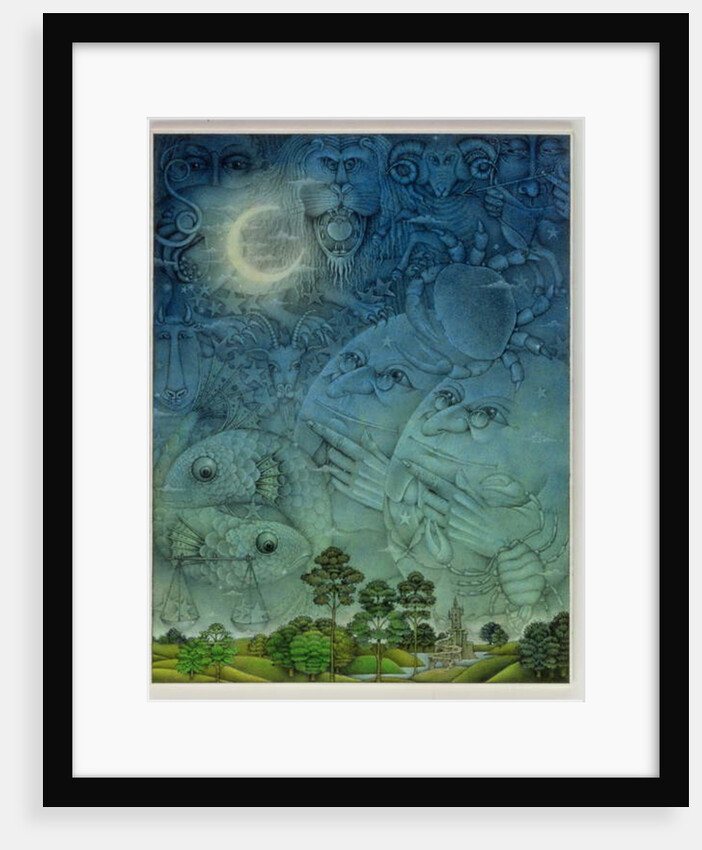 Zodiac Sky by Wayne Anderson