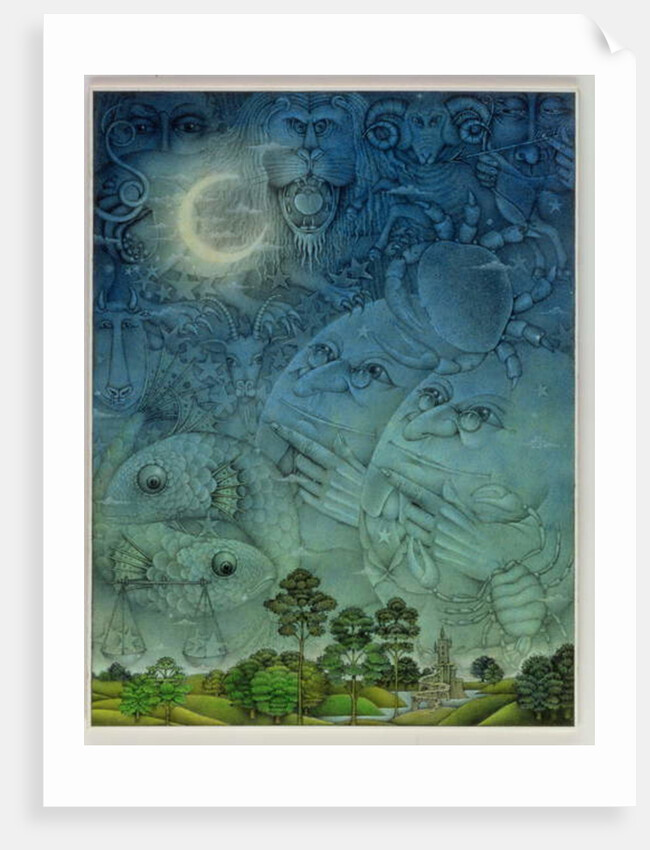 Zodiac Sky by Wayne Anderson