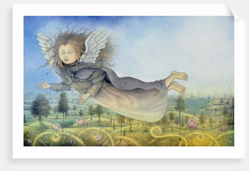 Flying Fairy Over Landscape by Wayne Anderson
