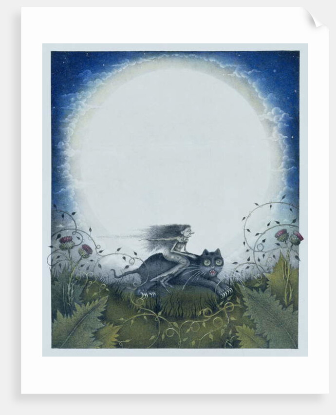 Scottish Witch on a Black Cat by Wayne Anderson