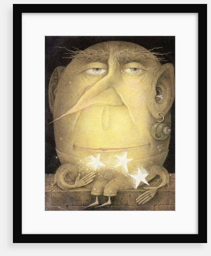 Catch a Falling Star by Wayne Anderson