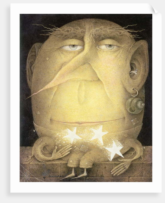 Catch a Falling Star by Wayne Anderson