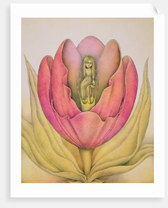 The Tulip Burst Open With a Pop, 1991 by Wayne Anderson