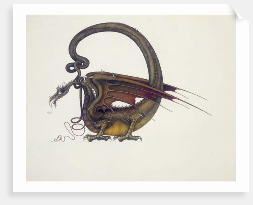 D is for Dragon, 1979 by Wayne Anderson