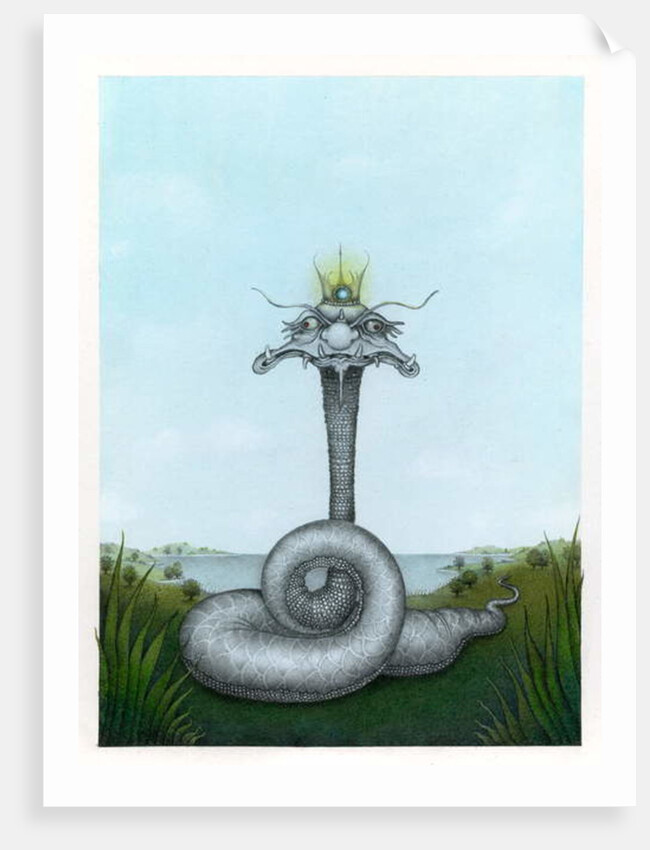 The Snake King, 1982 by Wayne Anderson