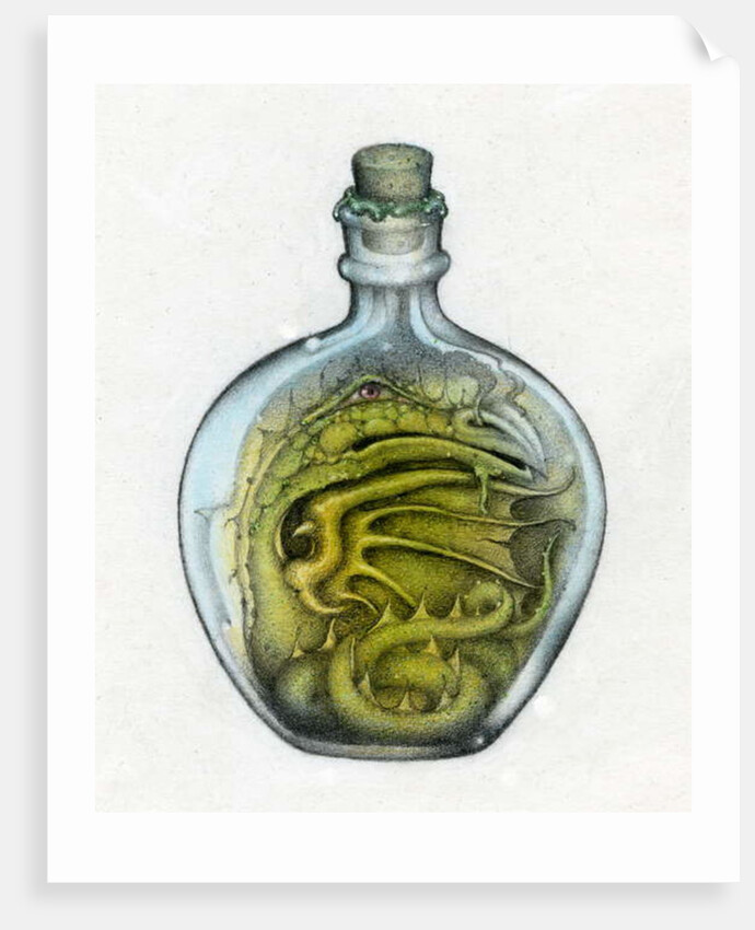 Bottled Dragon, 1991 by Wayne Anderson