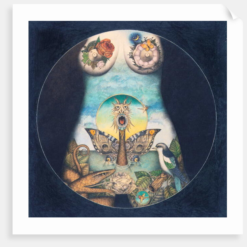 IRIZUMI, 1979 by Wayne Anderson