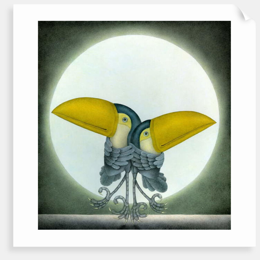 Toucan Can Can, 2010 by Wayne Anderson