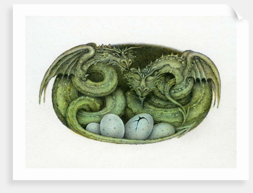 Amphisbaena, 1992 by Wayne Anderson