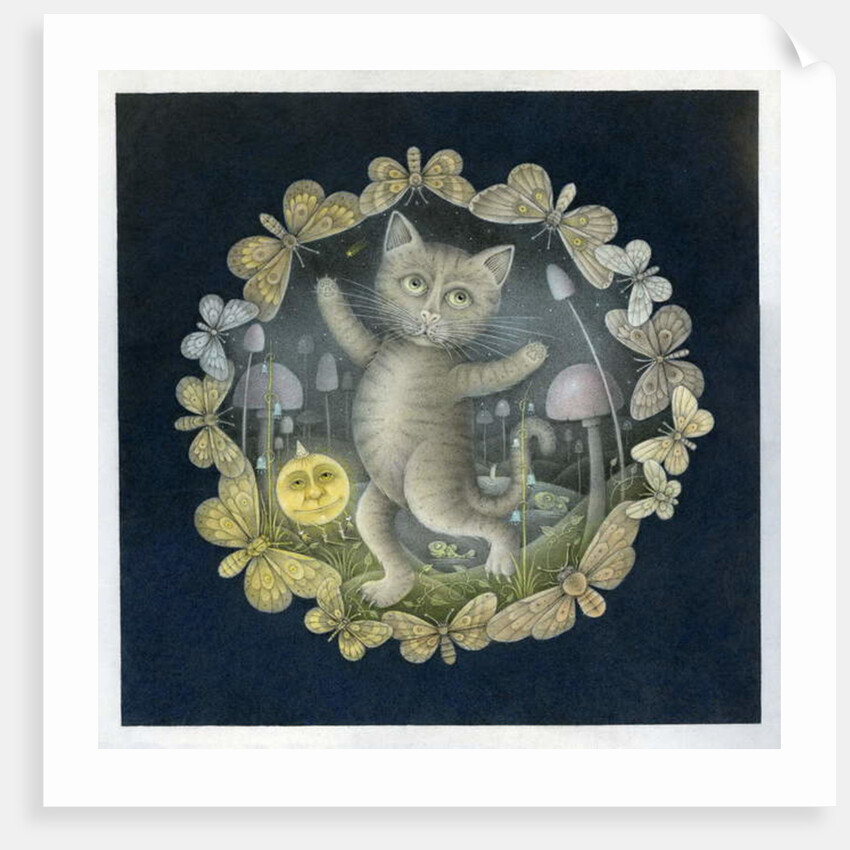 Tom Moggy and the Moon by Wayne Anderson