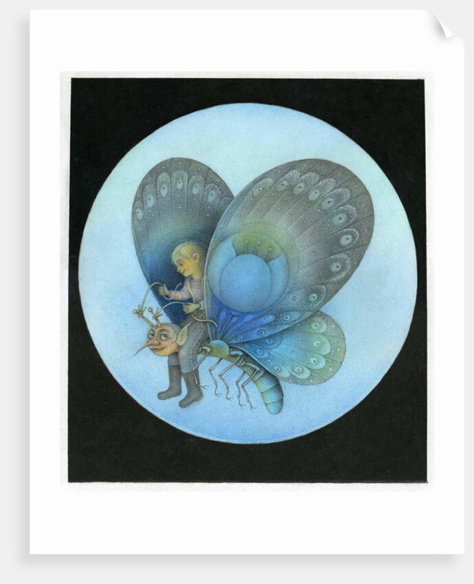 The Blue Butterfly by Wayne Anderson