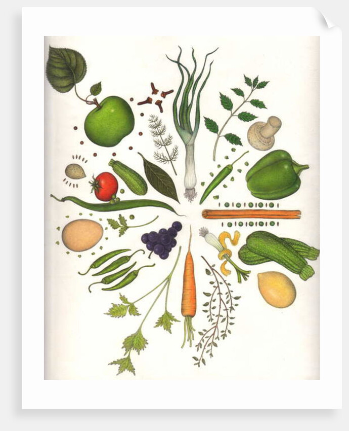 Assorted Foods, 1988 by Wayne Anderson