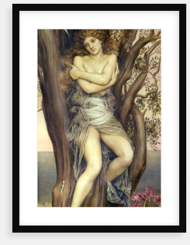 The Dryad, 1884-85 by Evelyn De Morgan