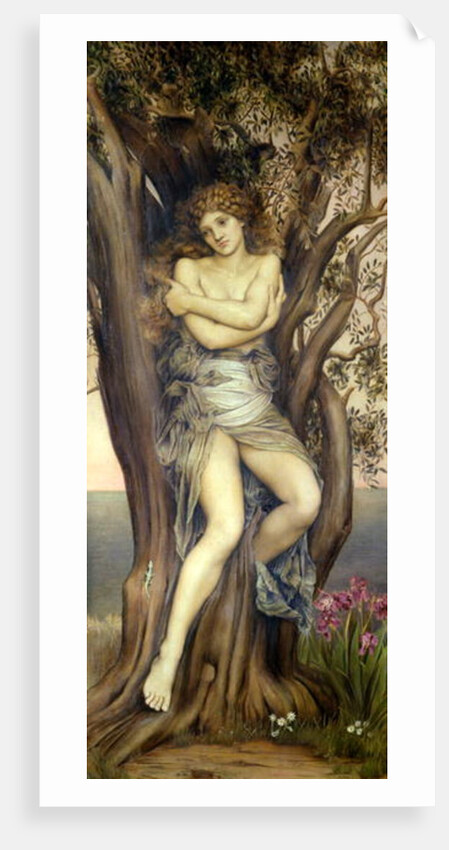 The Dryad, 1884-85 by Evelyn De Morgan