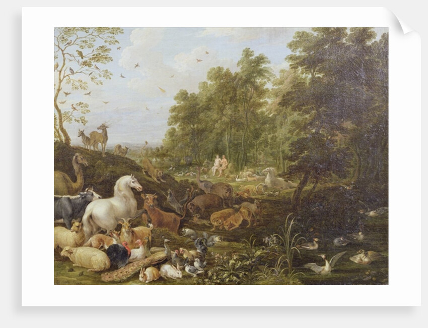 The Creation by Lambert de Hondt