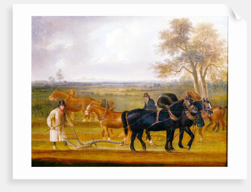 The Ploughing Match, 1813 by Thomas Weaver