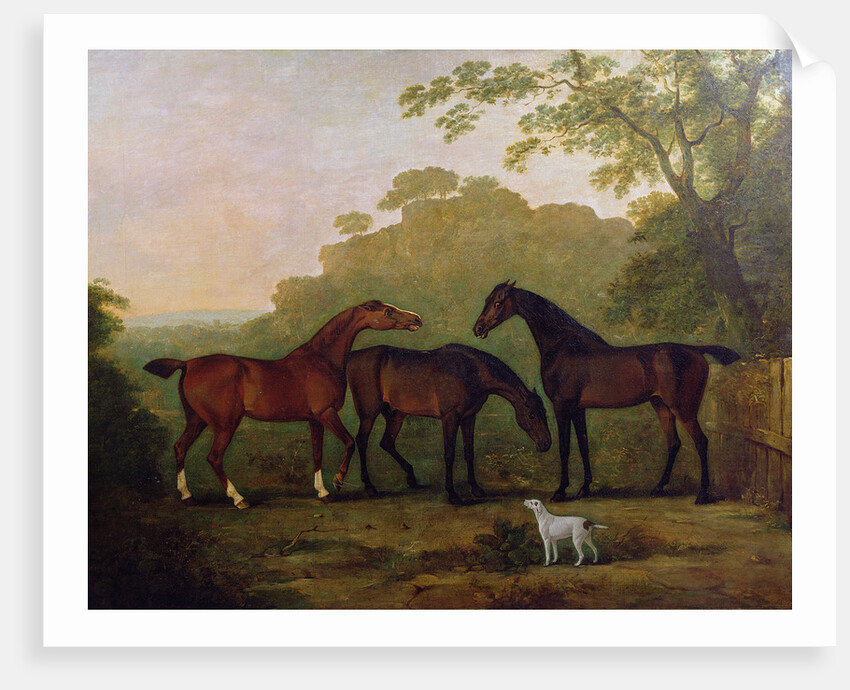 Hunters at Grass by John E. Ferneley