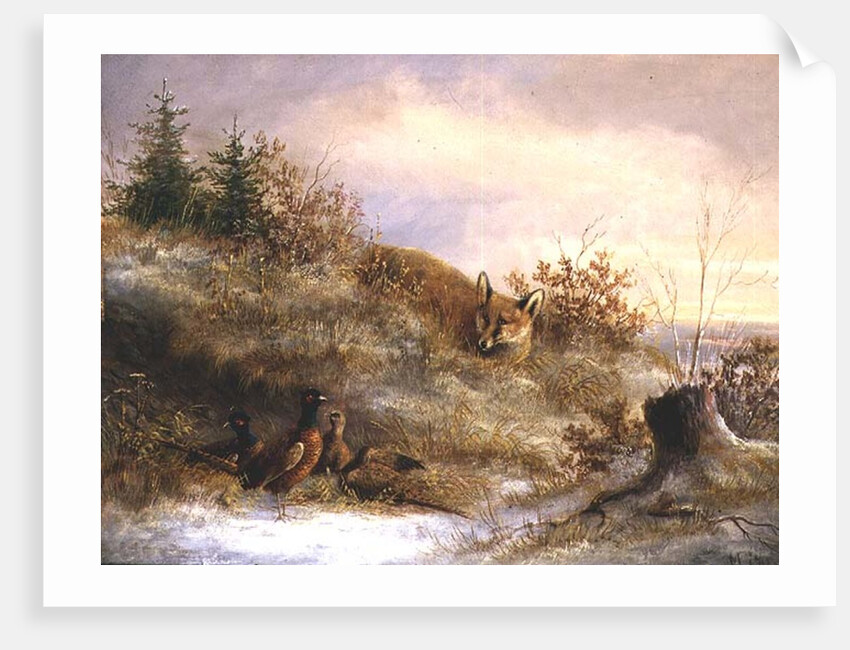 Fox and Pheasants in Winter by Anonymous