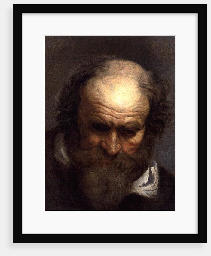 Head of an Old Man by Jacob Jordaens